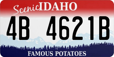 ID license plate 4B4621B