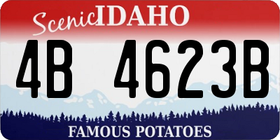 ID license plate 4B4623B