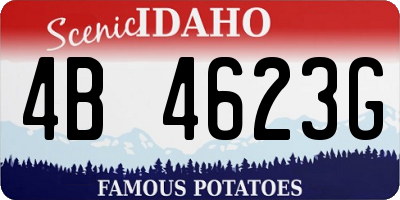 ID license plate 4B4623G