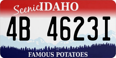 ID license plate 4B4623I