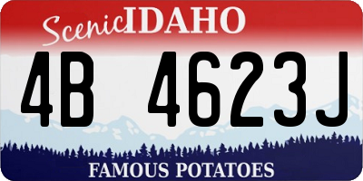 ID license plate 4B4623J