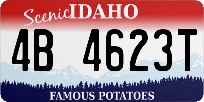 ID license plate 4B4623T