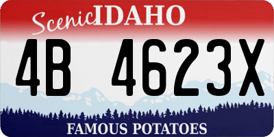 ID license plate 4B4623X