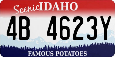 ID license plate 4B4623Y