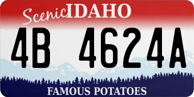 ID license plate 4B4624A
