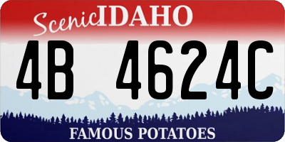 ID license plate 4B4624C