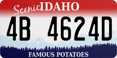 ID license plate 4B4624D