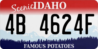 ID license plate 4B4624F