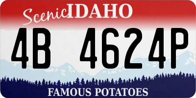 ID license plate 4B4624P