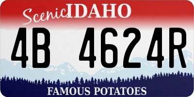 ID license plate 4B4624R