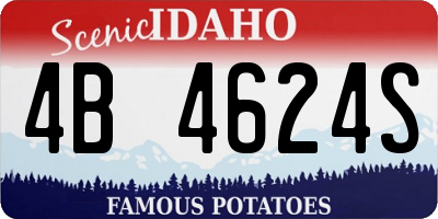 ID license plate 4B4624S