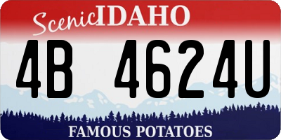 ID license plate 4B4624U
