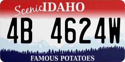 ID license plate 4B4624W