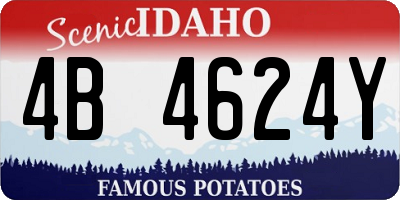 ID license plate 4B4624Y