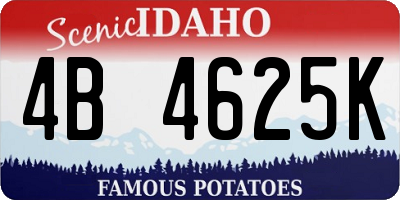ID license plate 4B4625K
