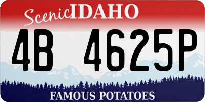 ID license plate 4B4625P