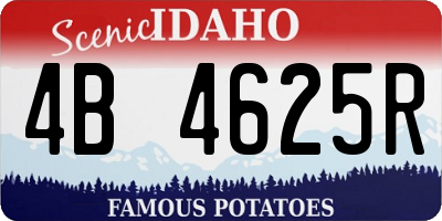ID license plate 4B4625R