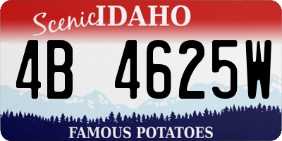 ID license plate 4B4625W