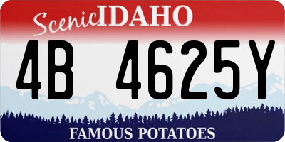 ID license plate 4B4625Y
