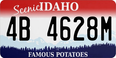 ID license plate 4B4628M