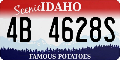 ID license plate 4B4628S