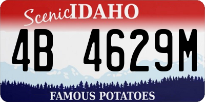 ID license plate 4B4629M