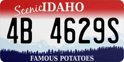 ID license plate 4B4629S