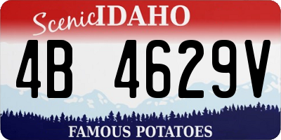 ID license plate 4B4629V