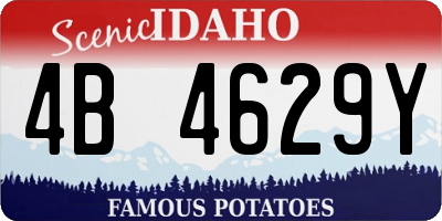 ID license plate 4B4629Y