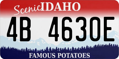ID license plate 4B4630E