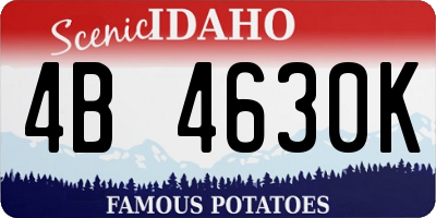 ID license plate 4B4630K