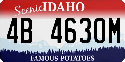ID license plate 4B4630M