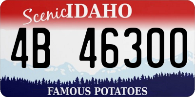 ID license plate 4B4630O