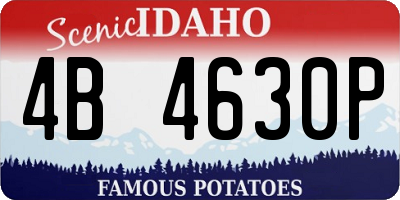 ID license plate 4B4630P