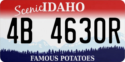 ID license plate 4B4630R