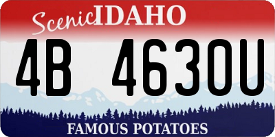 ID license plate 4B4630U