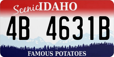 ID license plate 4B4631B