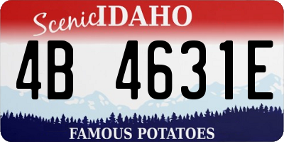 ID license plate 4B4631E
