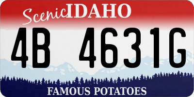 ID license plate 4B4631G