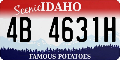 ID license plate 4B4631H