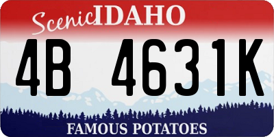 ID license plate 4B4631K