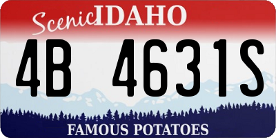 ID license plate 4B4631S