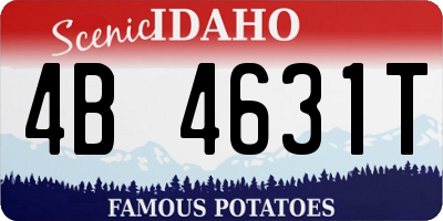 ID license plate 4B4631T