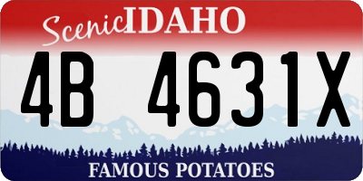 ID license plate 4B4631X
