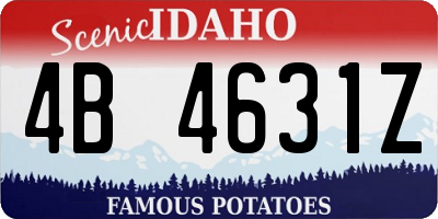 ID license plate 4B4631Z