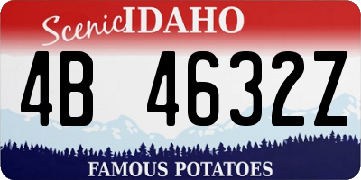 ID license plate 4B4632Z
