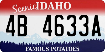ID license plate 4B4633A
