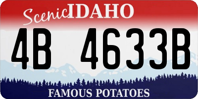 ID license plate 4B4633B