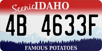 ID license plate 4B4633F