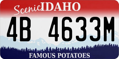 ID license plate 4B4633M